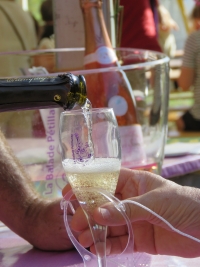 Balade P�tillante en Champagne